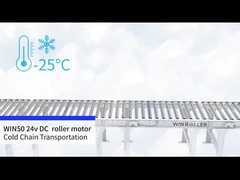 WIN50 DC 24v napęd silnikowy rolkowy transport łańcucha chłodnego